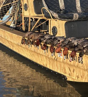 Successful waterfowl hunt brings home the bounty in Port O'Connor!