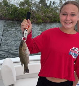 Port Charlotte surely gives out fish like no other