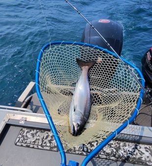 Trophy catch in Great Lakes