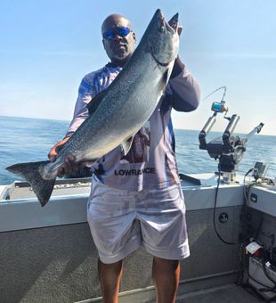 Detroit Chinook salmon makes for perfect fishing success!