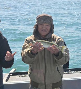 Quality Walleye Catch