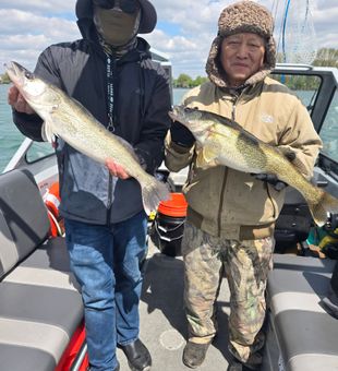 Double Walleye Success
