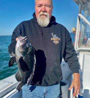Nice black sea bass from Wareham MA waters!