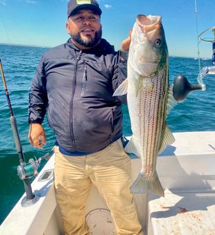 Beautiful Wareham striped bass caught on the water!