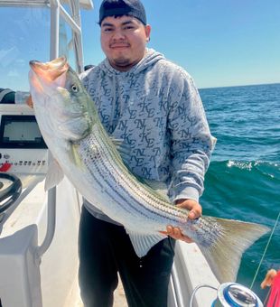 Nice Wareham striped bass hitting the deck!