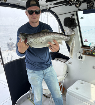 Reeled in a sea trout while trolling light tackle in the afternoon