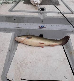 Hernando fishing adventures start here