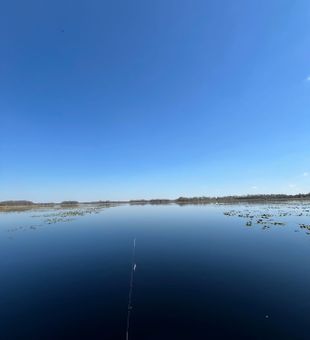 Explore Hernando’s fishing hotspots