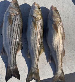 Calm waters, wide skies, and good company on the Bay.