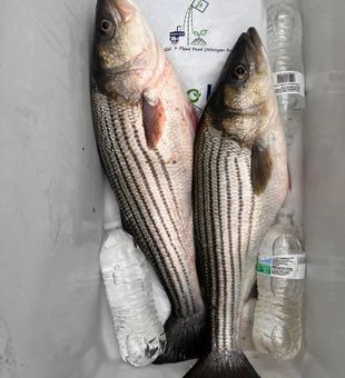 Another beautiful day cruising the Chesapeake.