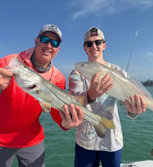 Snook and redfish!