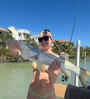 Snook catch with a sunny backdrop!