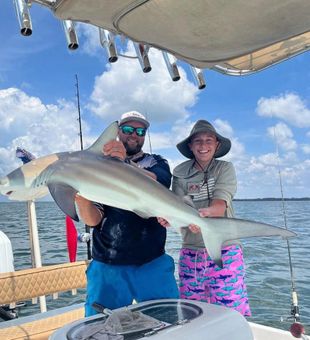 Cape Coral blacktip shark makes for an epic catch!