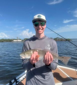 Catching Redfish in Cape Coral Waters