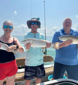 Venice FL redfish showing off today!