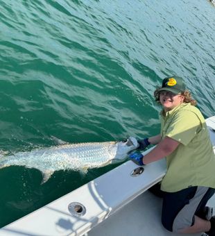 Venice tarpon run is heating up!