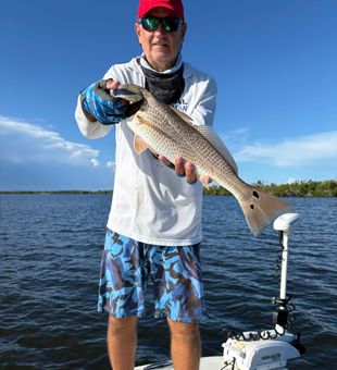 Beautiful Punta Gorda redfish makes the day!