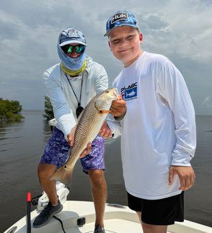 Perfect Punta Gorda redfish on the boat!