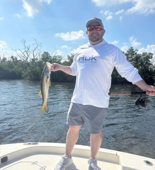 Nice snook from Punta Gorda waters!