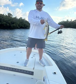 Beautiful Punta Gorda snook on the deck!