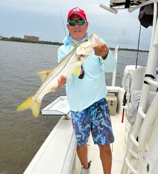 Beautiful Punta Gorda snook ready for the photo!
