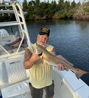 Redfish on Live Bait