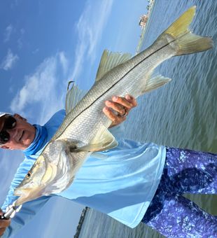 Snook fishing