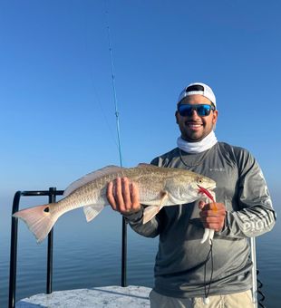Beautiful Rio Hondo redfish ready for the photo!