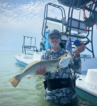 Nice squeteague from Rio Hondo TX waters!
