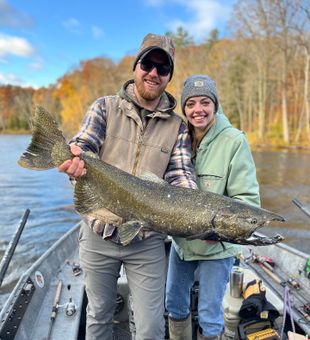 Chinook Salmon in Michigan!