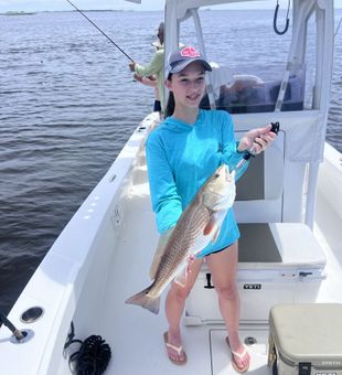 Nice redfish catch on productive inshore trip