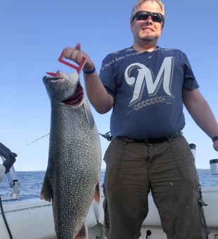 Lake Trout in Michigan