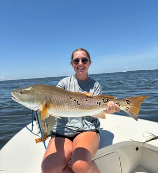 Redfish action in Beaufort, NC.