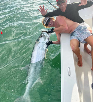 Tarpon Hooked on Sarasota!