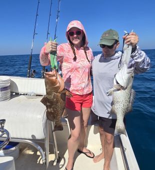 Red grouper and gag grouper action in Crawfordville!