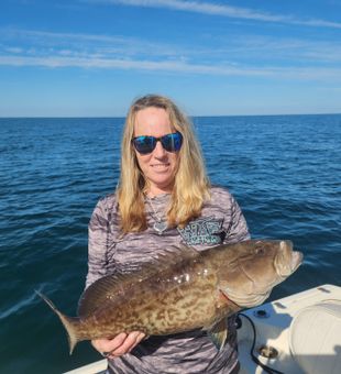 Florida gulf coast fishing for Groupers like this.