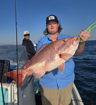 Quality red snapper offshore catch