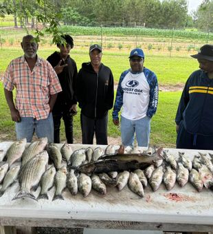 Table full of fish! We limited out!