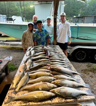 Another day, another reason to love fishing.