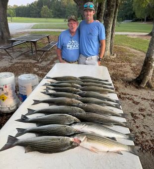 Father and Son Bond over Stripers  Stack- Clarks Hill, SC.