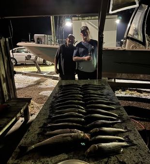 Stripers Night Haul - Clarks Hill, SC.