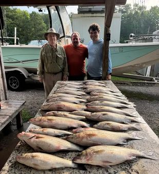 Experience the abundance of Lake Murray striped bass fishing with a local guide who knows where the schools are feeding. Book your North Augusta fishing trip today.