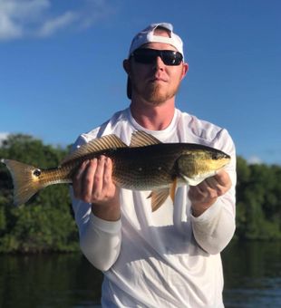Tampa Bay Fishing: Snook of the Day!