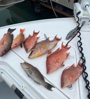 School caught all together in Tampa, Bay Florida