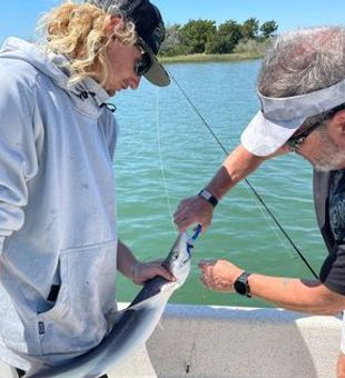 Cedar Point Fishing: Coastal Bliss