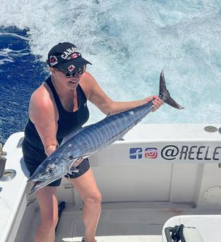 Reeling in trophy wahoo off Kailua-Kona, Hawaii