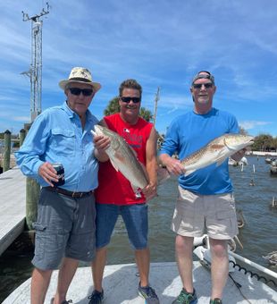 Reeling in redfish all day long, Cedar Key