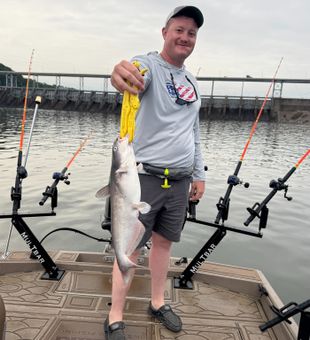 Catfish memories made in Tennessee