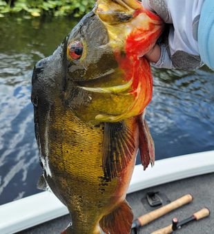Fort Lauderdale’s best fishing spots