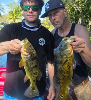 Fort Lauderdale Shore Fishing